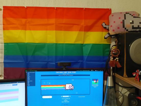 Finalmente el nyan cat de mi estudio consiguió su arcoiris para viajar por el universo
